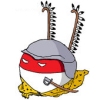 wersja polska